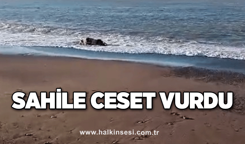 Sahile ceset vurdu