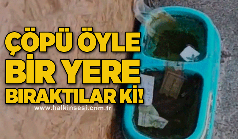 Çöpü öyle bir yere bıraktılar ki!