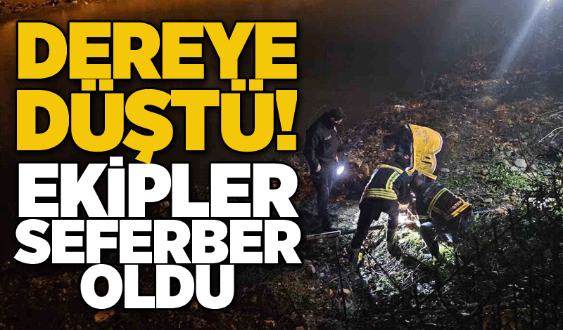 Dereye düştü! Ekipler seferber oldu