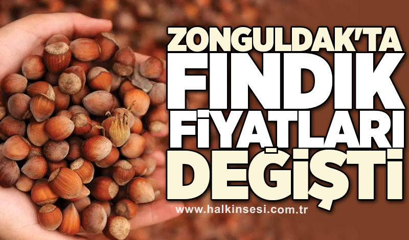 Zonguldak’ta fındık fiyatları değişti