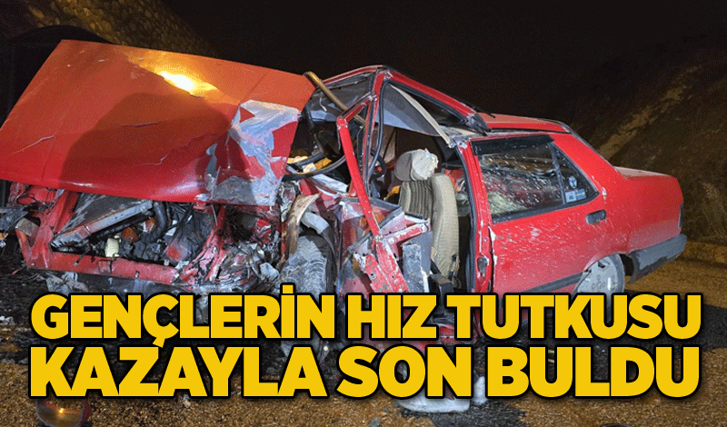 Gençlerin hız tutkusu kazayla son buldu