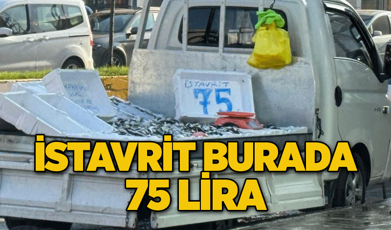 İstavrit burada 75 lira