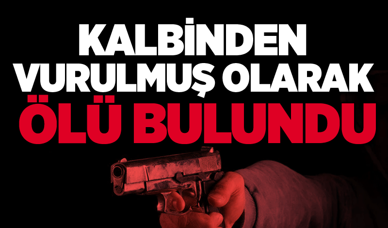 Kalbinden vurulmuş olarak ölü bulundu