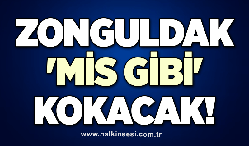 Zonguldak 'mis gibi' kokacak!