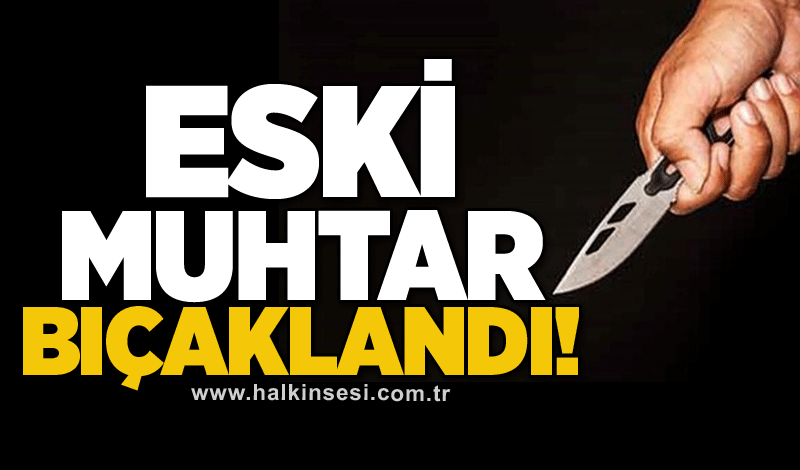 Eski muhtar bıçaklı kavgada yaralandı