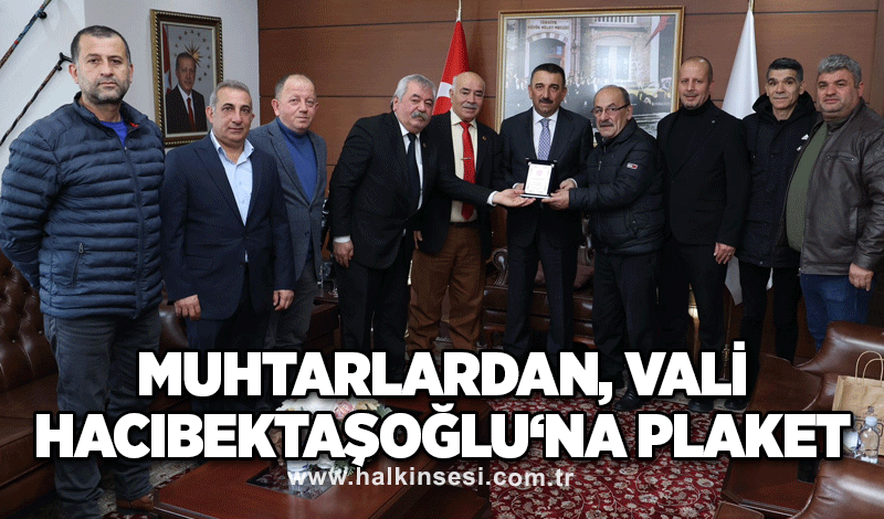 Muhtarlardan, Vali Hacıbektaşoğlu‘na plaket