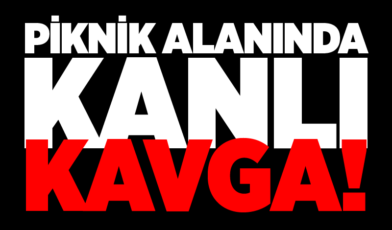 Piknik alanında kanlı kavga!