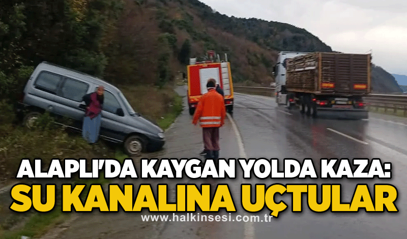 Alaplı'da kaygan yolda kaza: Su kanalına uçtular