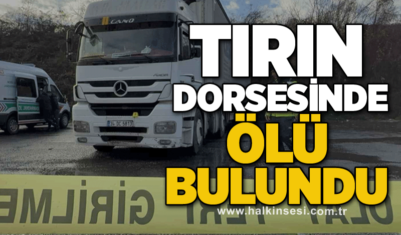 Park halindeki tırın dorsesinde ölü bulundu