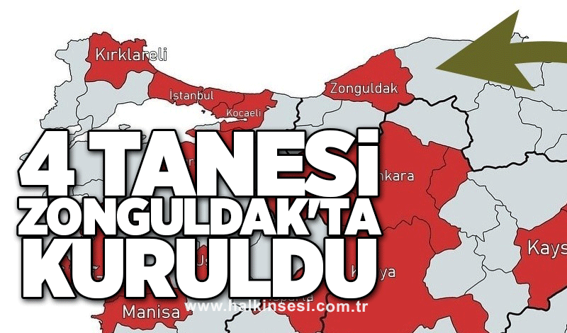 4 tanesi Zonguldak'ta kuruldu