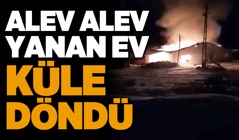 Alev alev yanan ev küle döndü