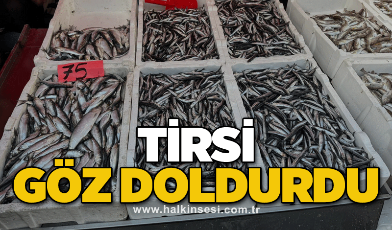 Tirsi göz doldurdu