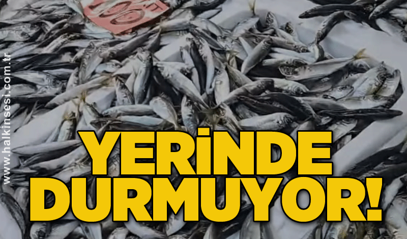 Yerinde durmuyor!