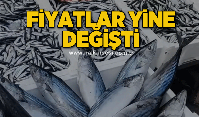 Fiyatlar yine değişti