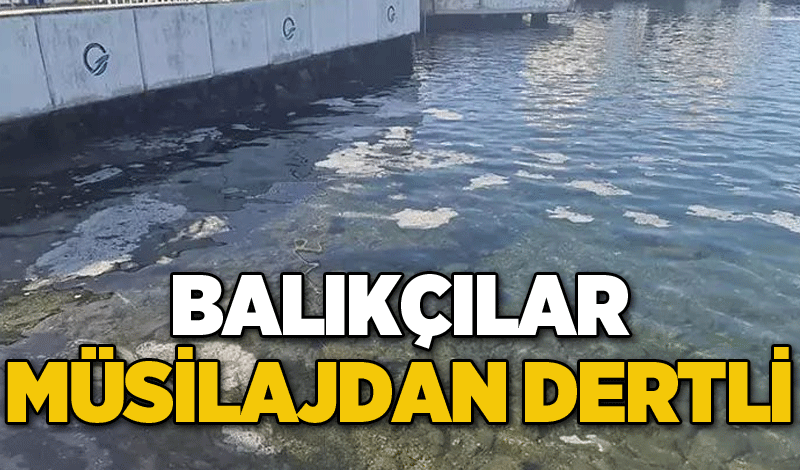 Balıkçılar müsilajdan dertli