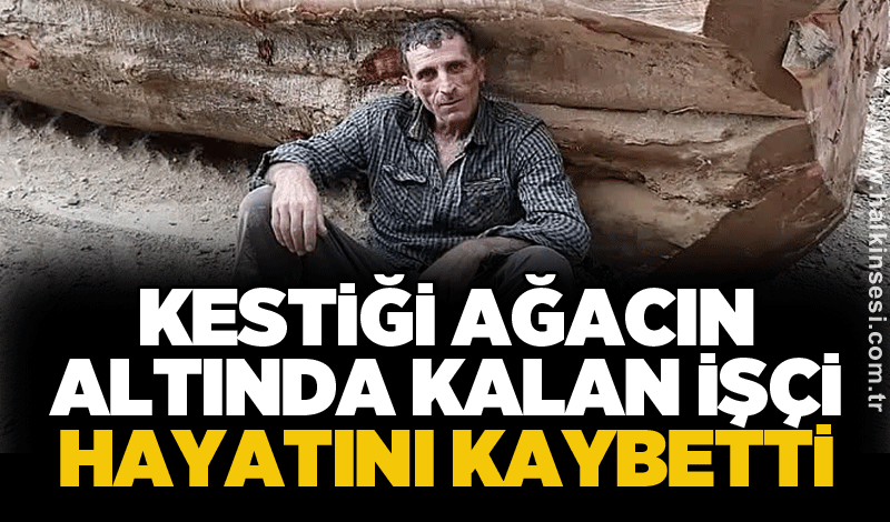 Kestiği ağacın altında kalan işçi hayatını kaybetti