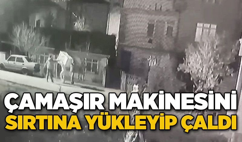 Çamaşır makinesini sırtına yükleyip çaldı