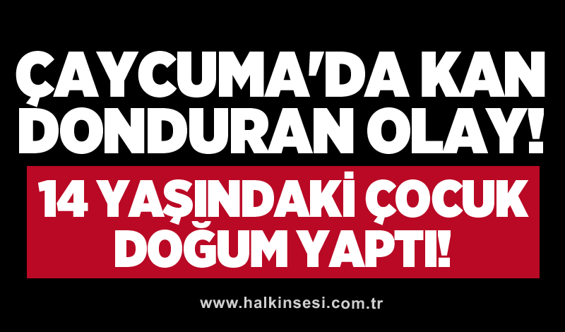 Çaycuma'da kan donduran olay!