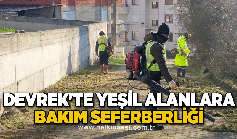 Devrek'te yeşil alanlara bakım seferberliği