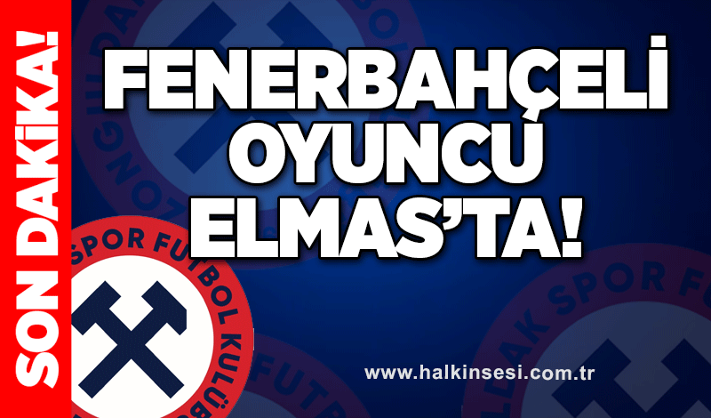 Fenerbahçeli oyuncu Zonguldakspor’da