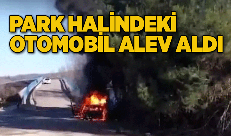 Park halindeki otomobil alev aldı