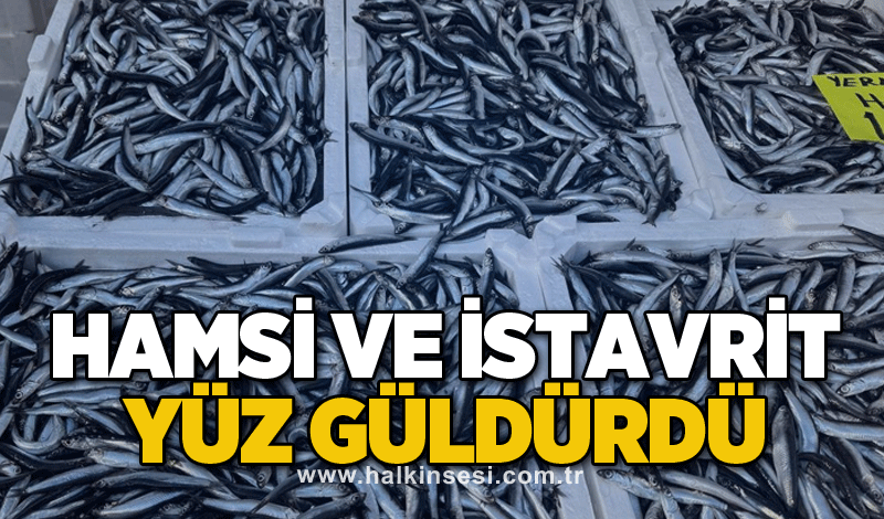 Hamsi ve istavrit yüz güldürdü