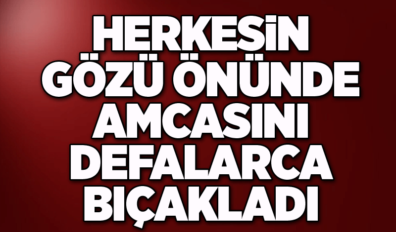 Herkesin gözü önünde amcasını defalarca bıçakladı