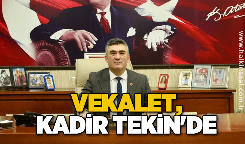 Vekalet, Kadir Tekin'de