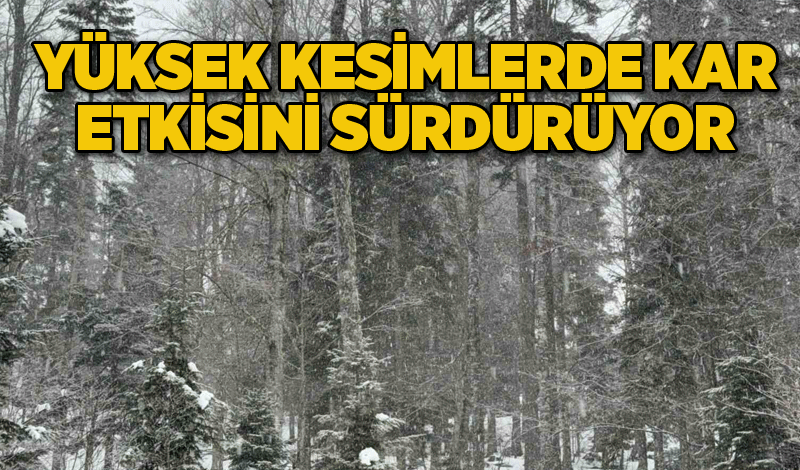 Yüksek kesimlerde kar etkisini sürdürüyor