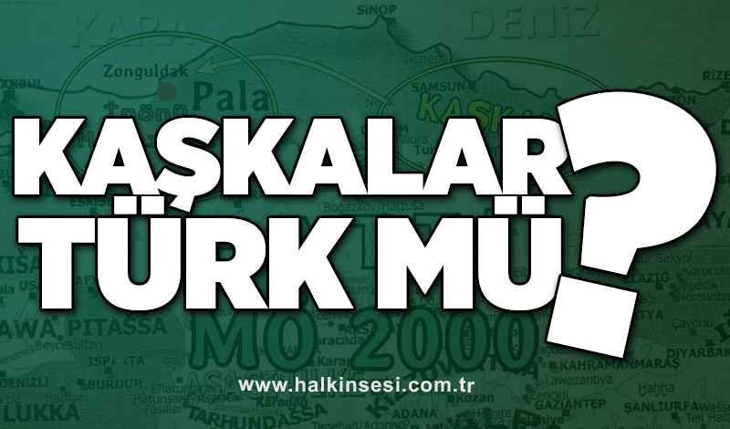 KAŞKALAR TÜRK MÜ ?