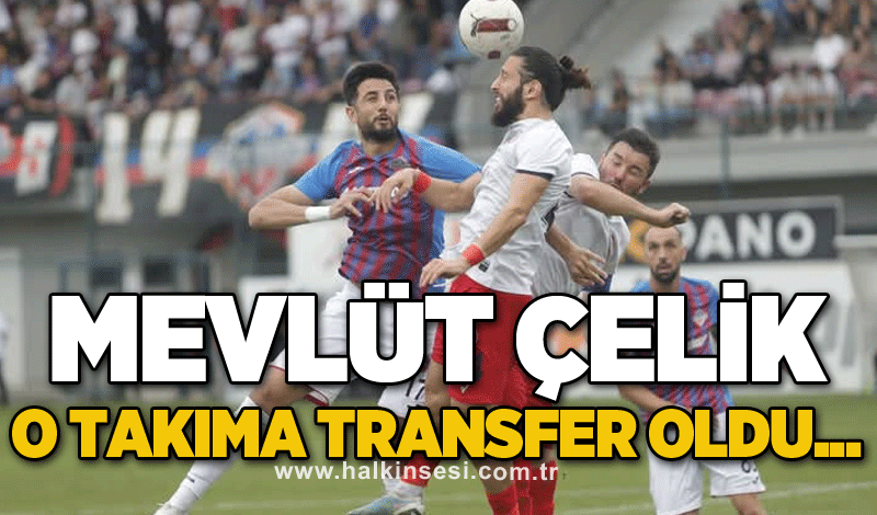 Mevlüt Çelik o takıma transfer oldu...