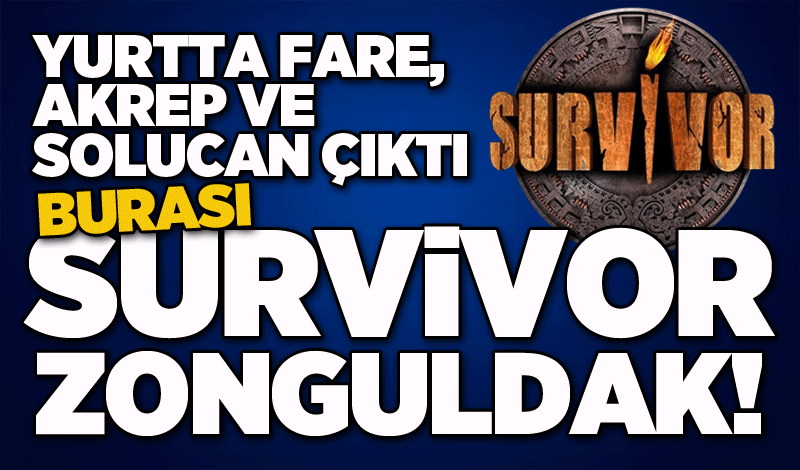 Zonguldak’taki yurttan fare, akrep ve solucan çıktı: Burası Survivor Zonguldak!