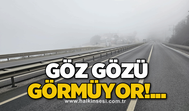 Göz gözü görmüyor!...