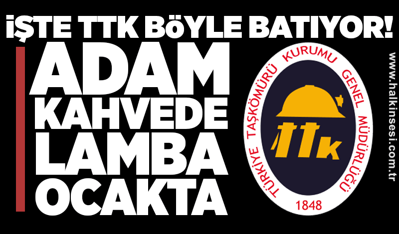 İşte TTK böyle batıyor! Adam kahvede, lamba ocakta!