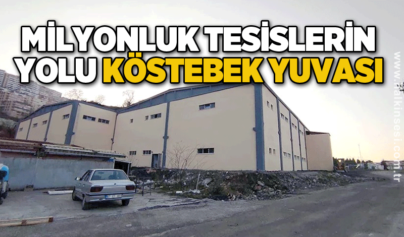 Milyonluk tesislerin yolu köstebek yuvası