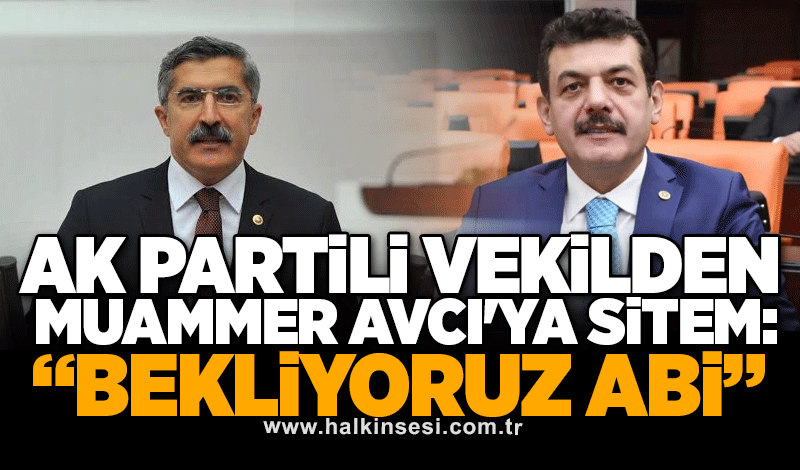 AK Partili vekilden Muammer Avcı'ya sitem: Bekliyoruz abi