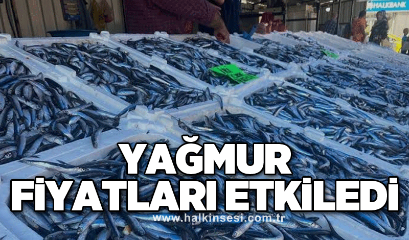 Yağmur fiyatları etkiledi