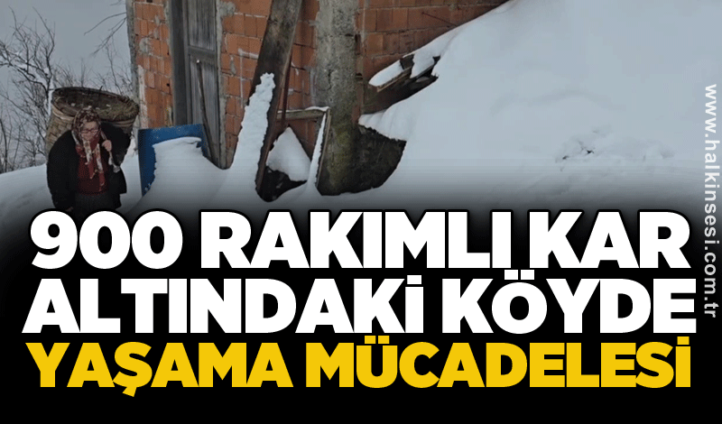 900 rakımlı kar altındaki köyde yaşama mücadelesi