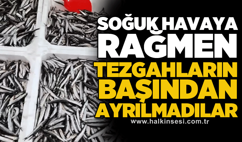 Soğuk havaya rağmen tezgahların başından ayrılmadılar