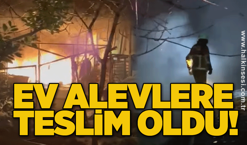 Ev alevlere teslim oldu!