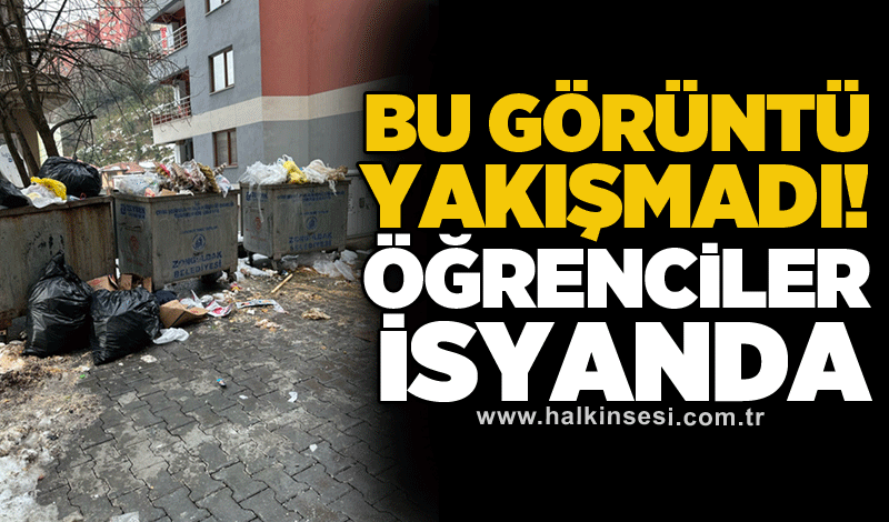 Bu görüntü yakışmadı! Öğrenciler isyanda