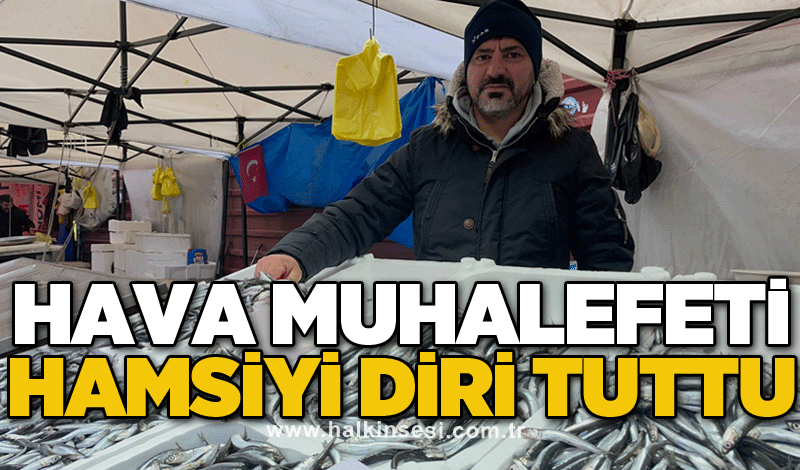 Hava muhalefeti hamsiyi diri tuttu