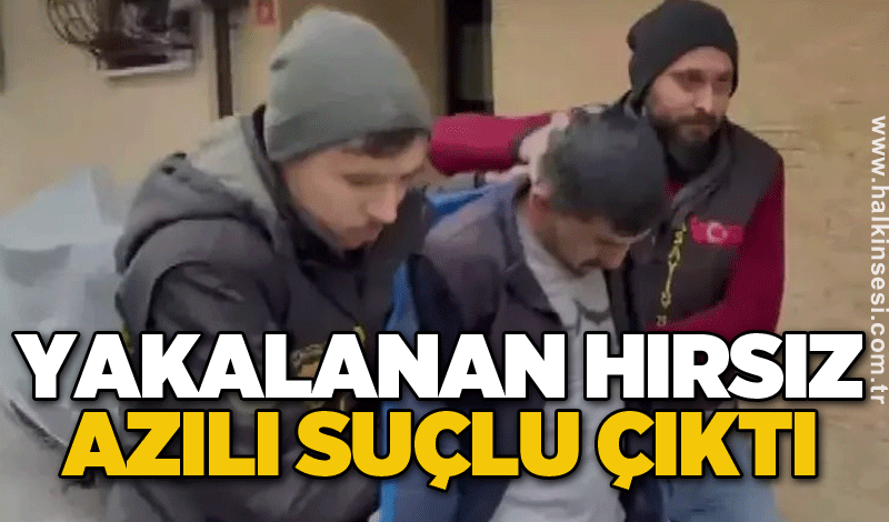 Yakalanan hırsız azılı suçlu çıktı