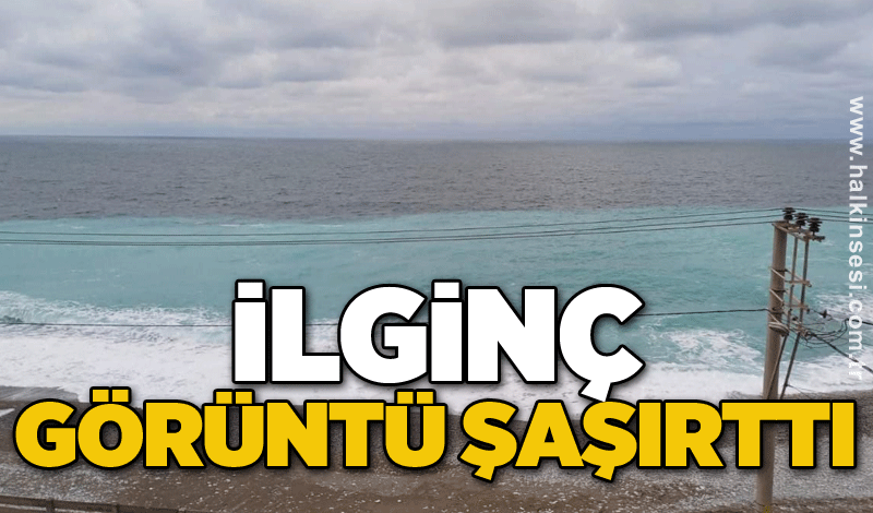 İlginç görüntü şaşırttı