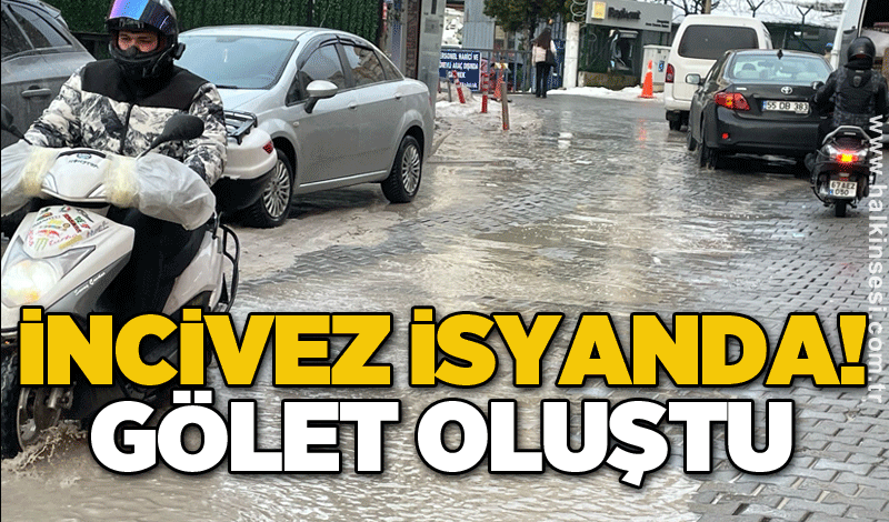 İncivez isyanda! Gölet oluştu