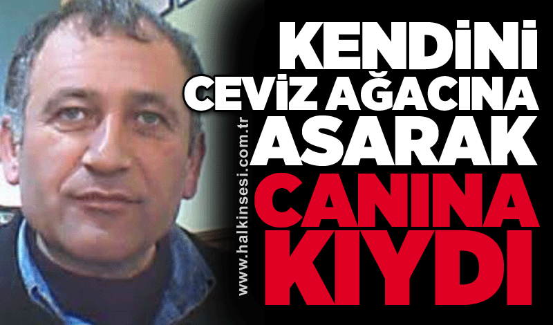 Kendini ceviz ağacına asarak canına kıydı