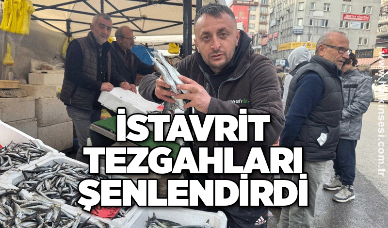 Zonguldak’ta istavrit tezgahları şenlendirdi