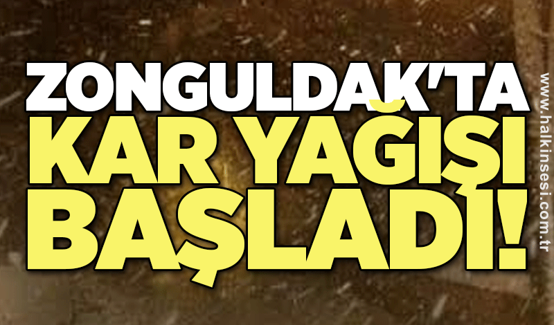 Zonguldak'ta kar yağışı başladı!