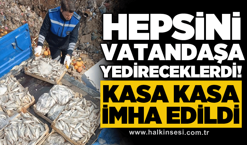 Hepsini vatandaşa yedireceklerdi! Kasa kasa imha edildi