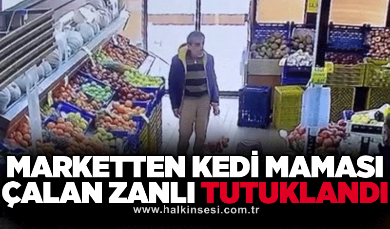 Marketten kedi maması çalan zanlı tutuklandı